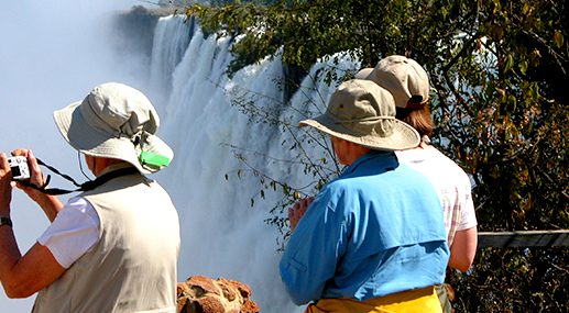 The rainforest at Victoria Falls