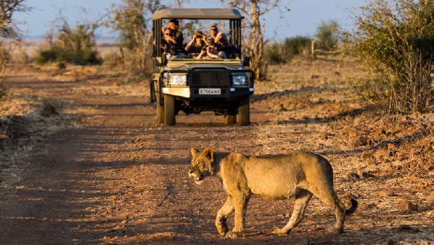 Muchenje Chobe Safari.jpg (118 KB)