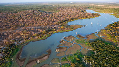 the Okavango Delta